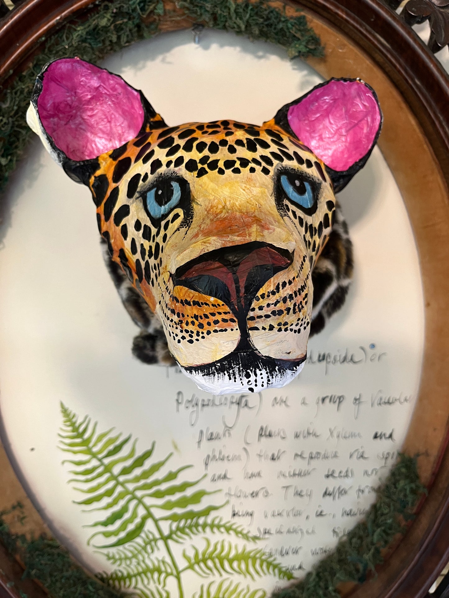 Leopard