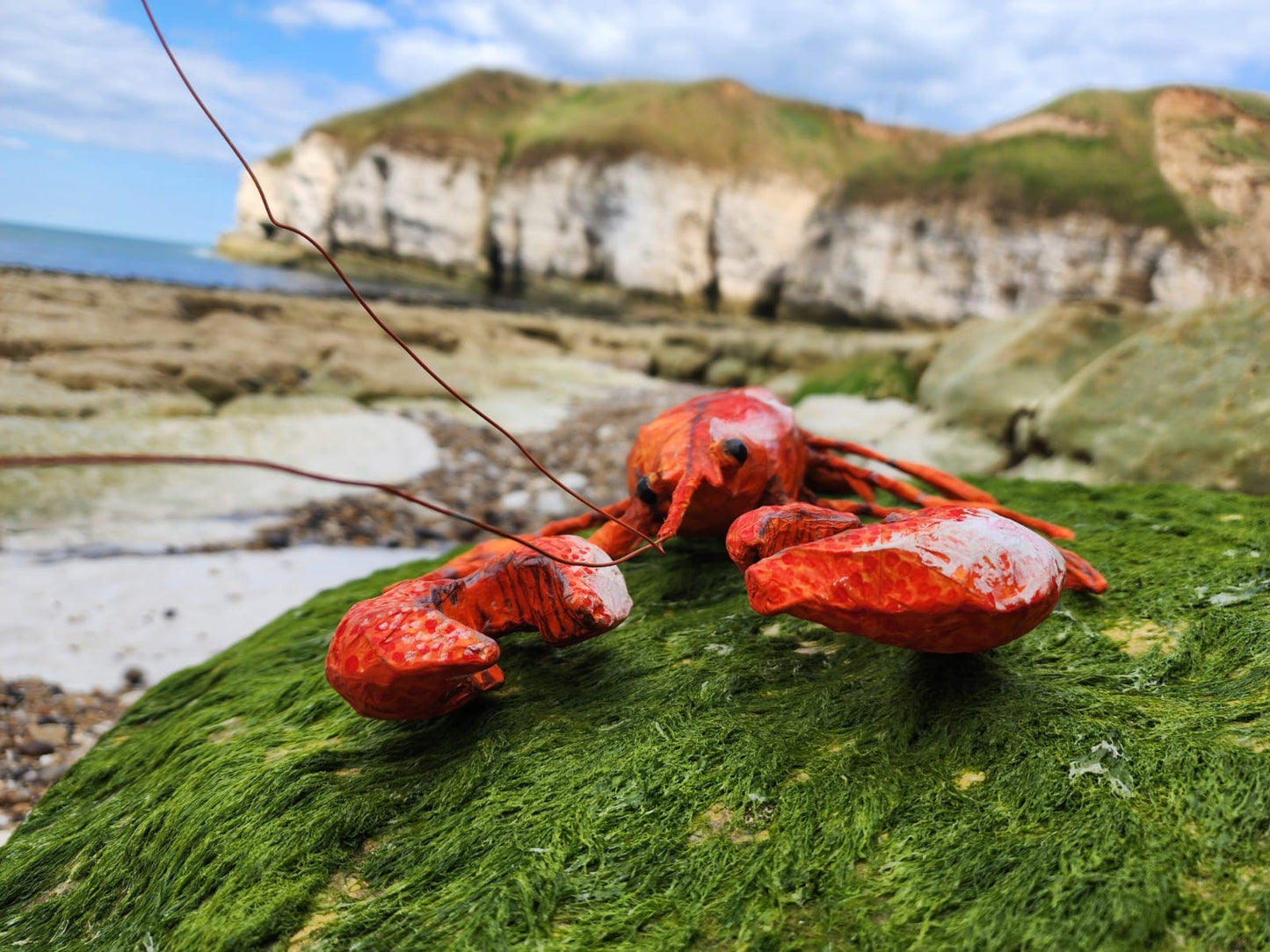 Lobster