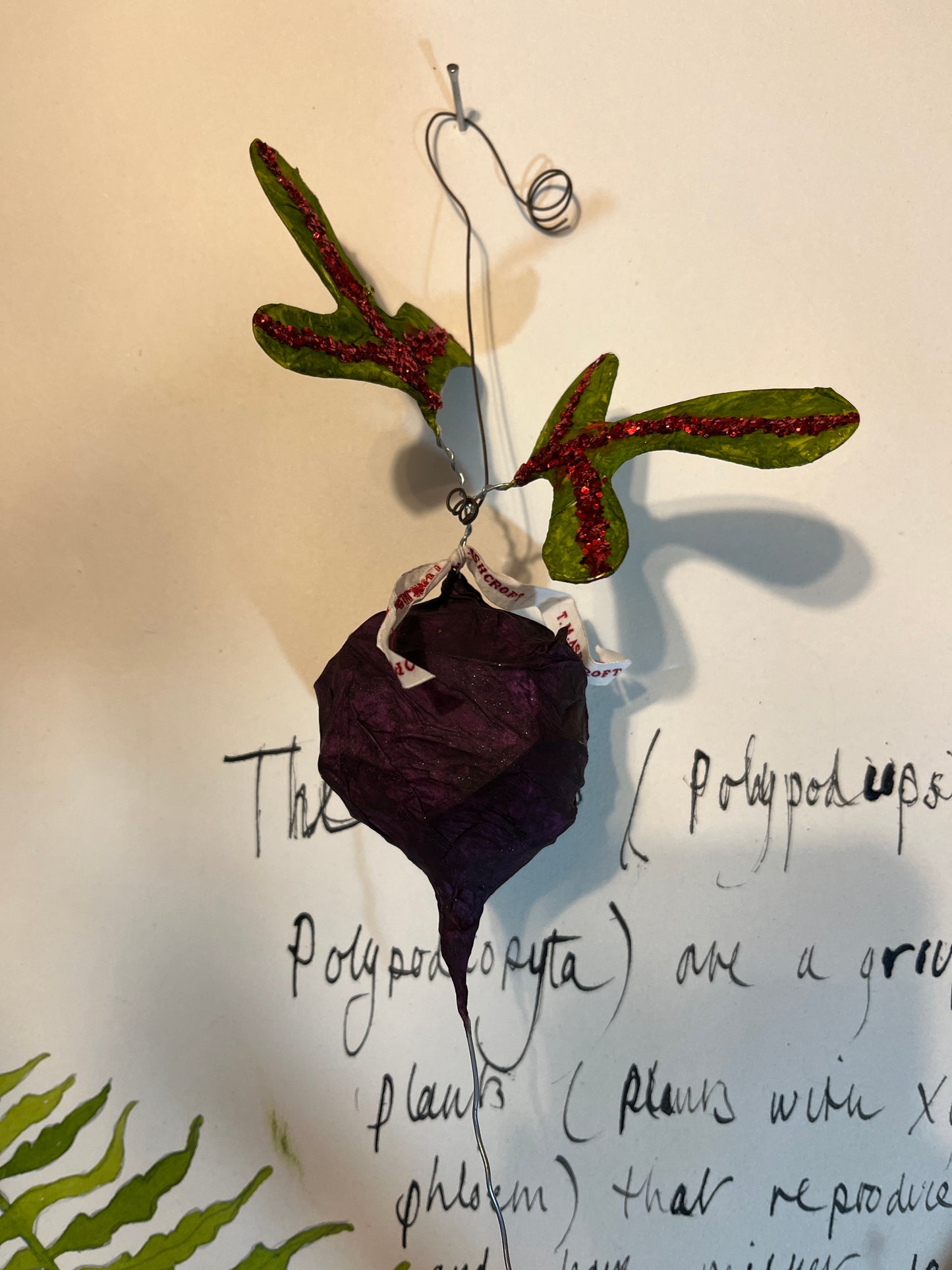 Beetroot