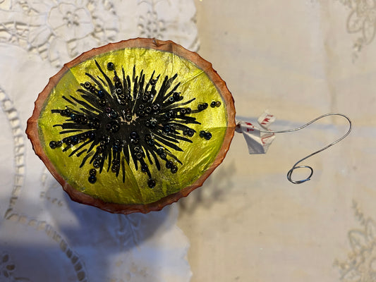 Half a Kiwi fruit
