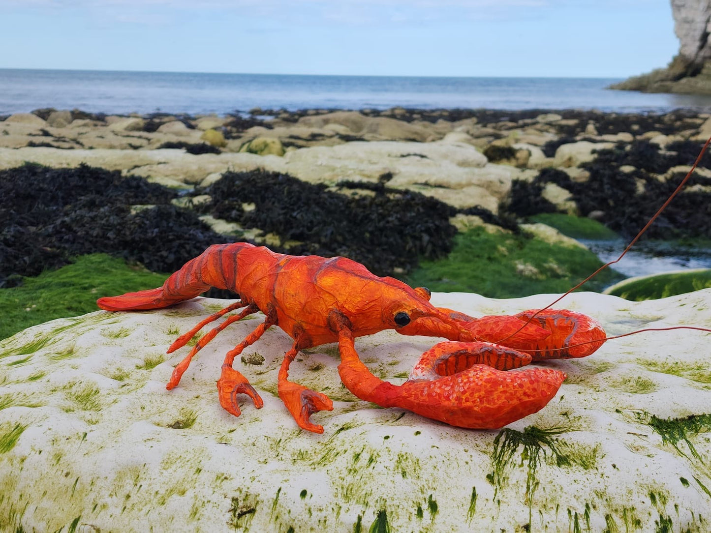 Lobster