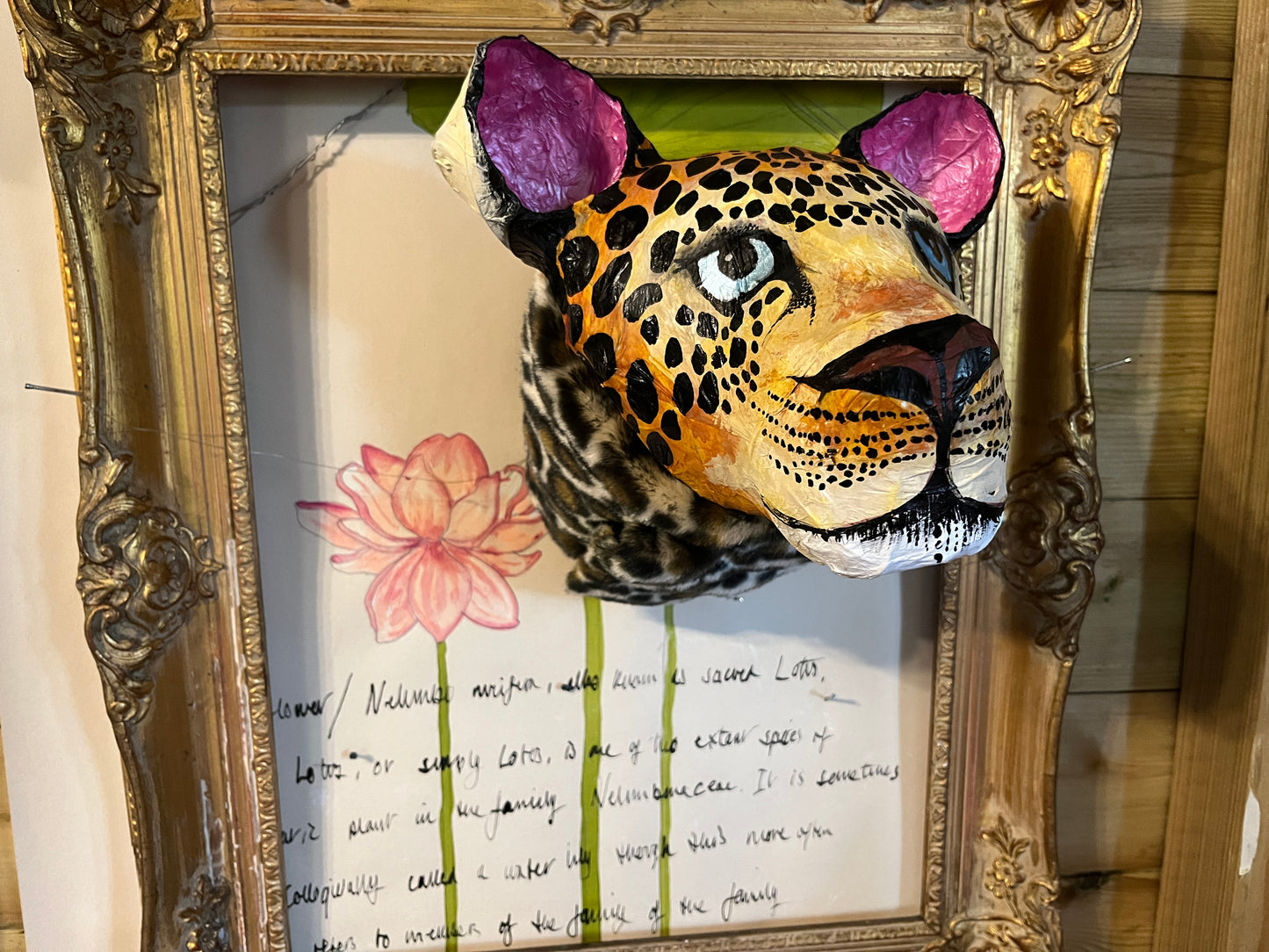 Leopard