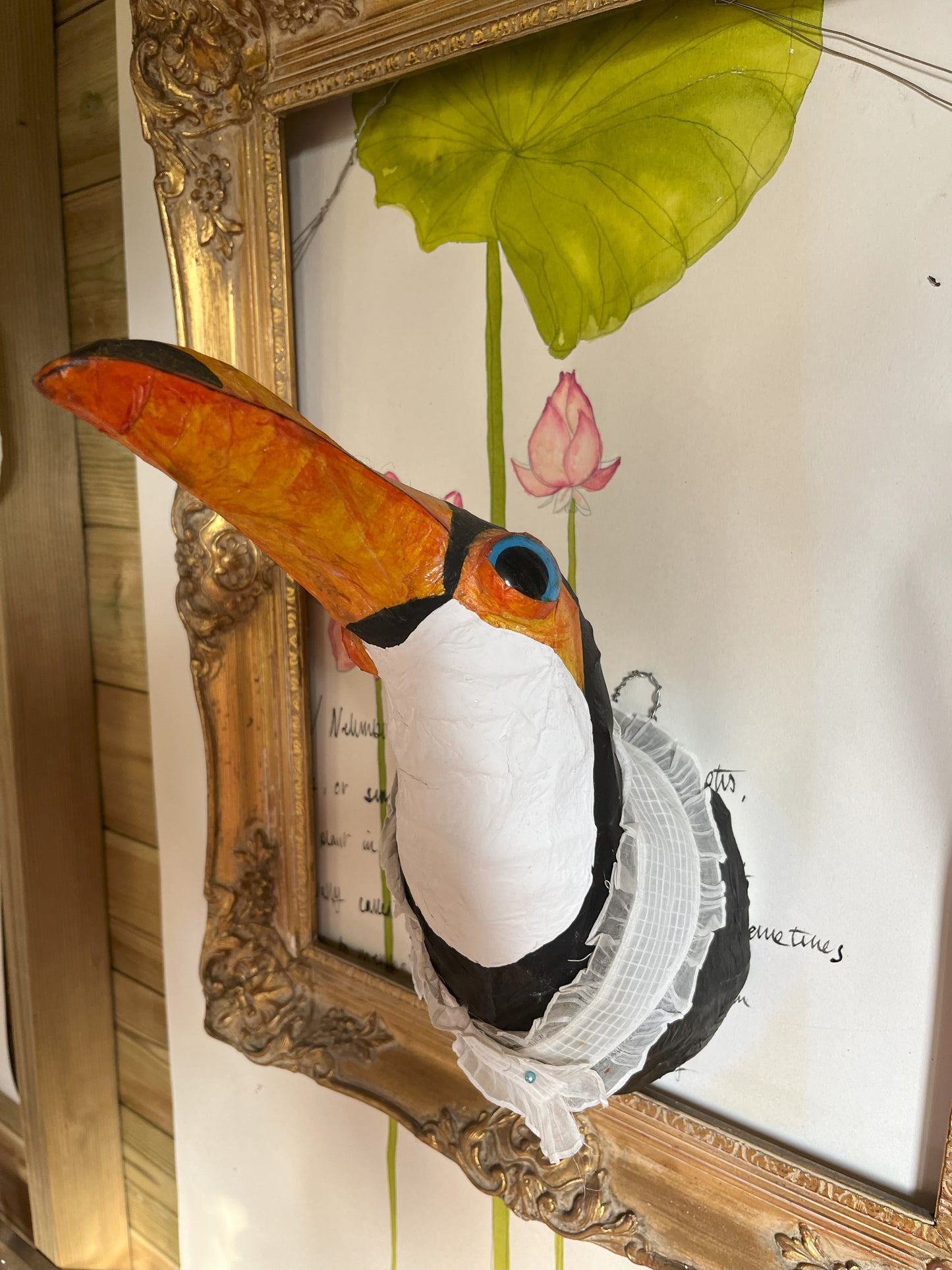 Toucan